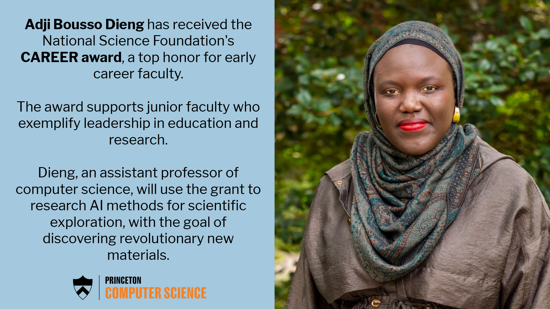 
<span>Dieng CAREER Award</span>
